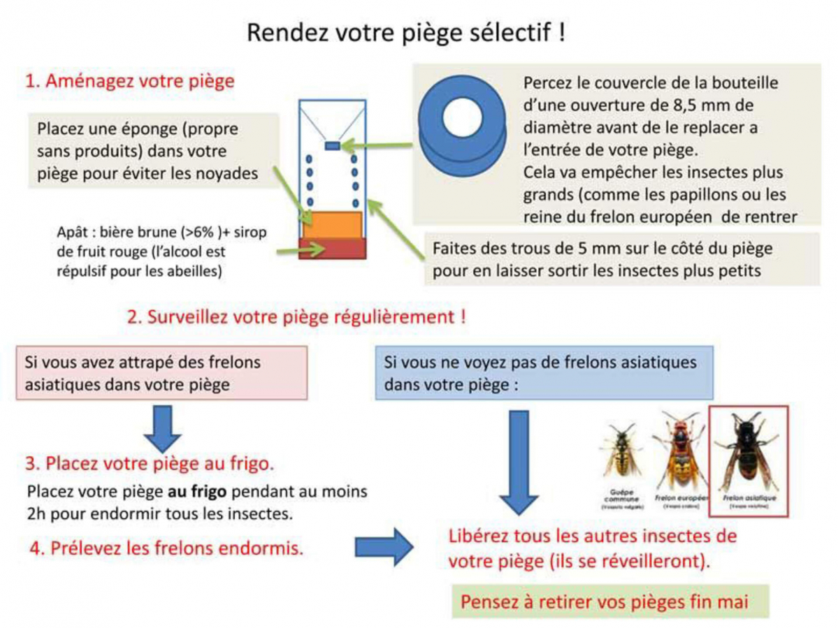 Piège à frelons.jpg
