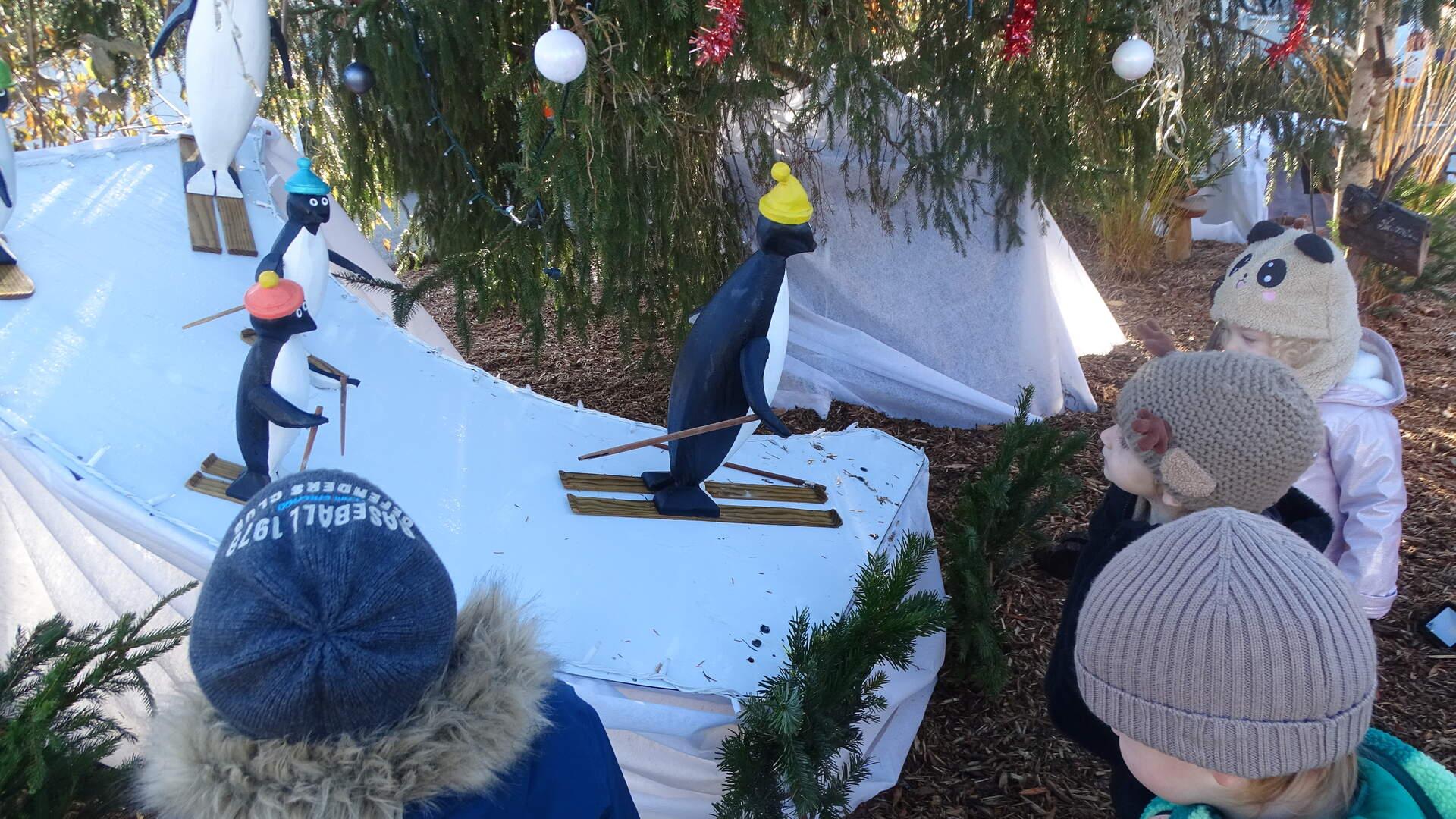 Les pingouins font du ski !