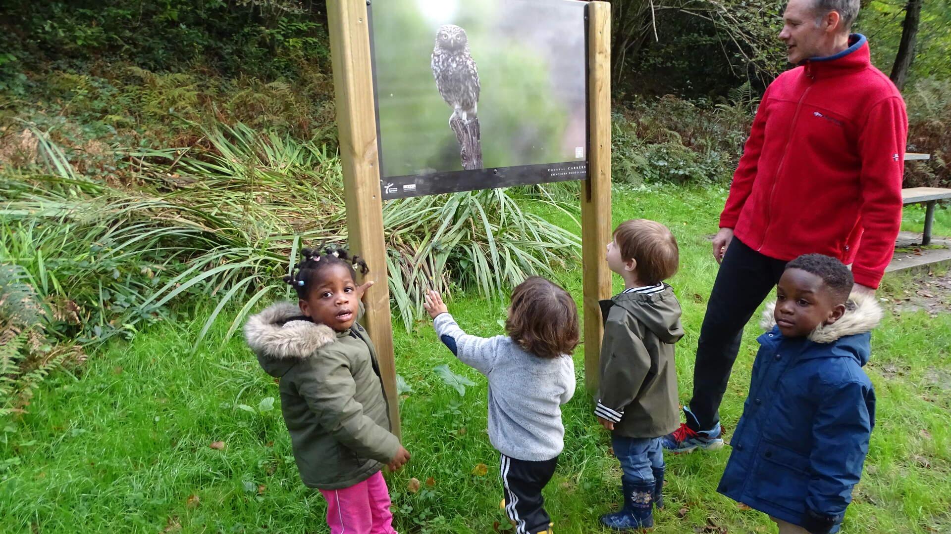 Expo photo : la chouette